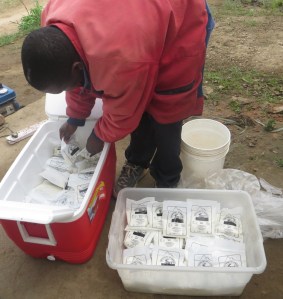 Over 500 pakker yoghurt ble levert til skolen