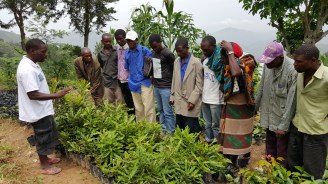 Solomon underviser bønder fra Lukunguni som vil drive skogslandbruk og dyrke Macadamianøtter