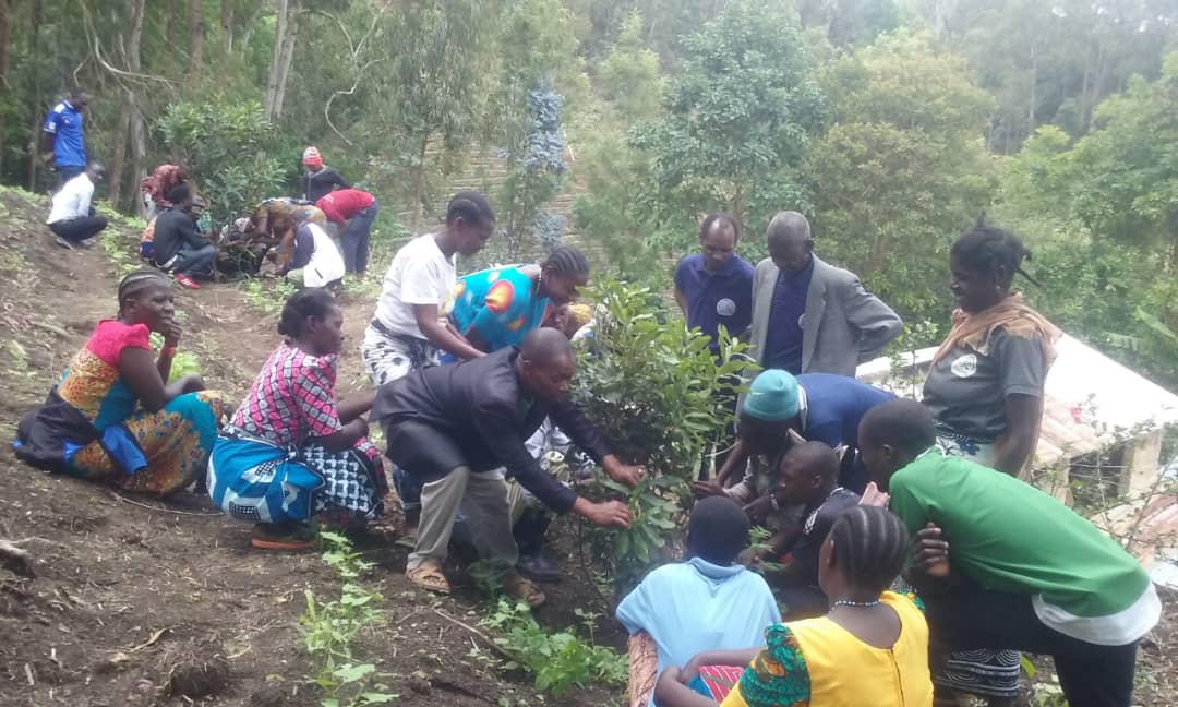 b88eb128-6301-4fc2-ac91-e6276e5c151b