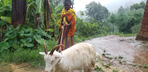 The same day Elizabeth also was given a dairy goat from one of the dairy goat keeper