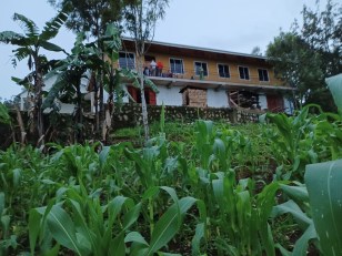 Det levende universitetet